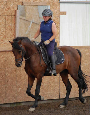 webassets/Trot_090810.jpg